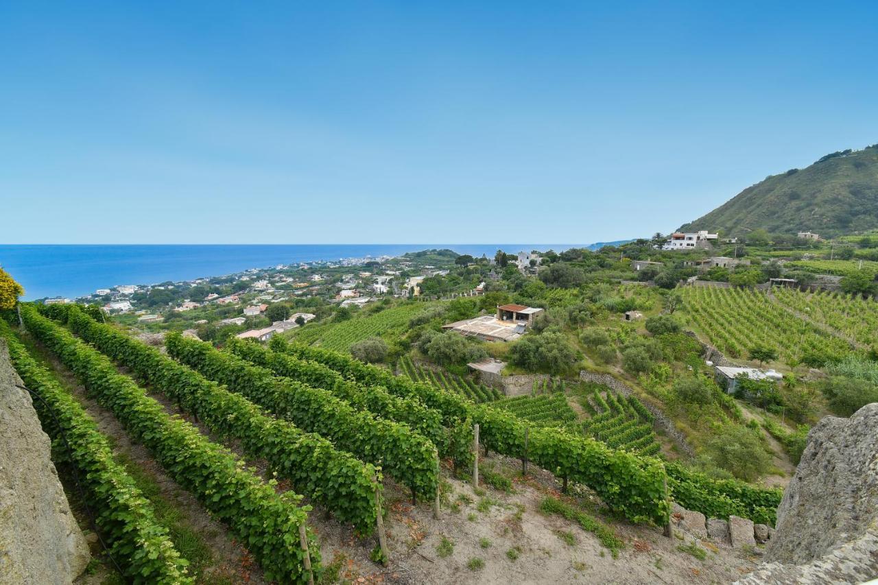 Tenuta C'Est La Vie Forio  Bagian luar foto