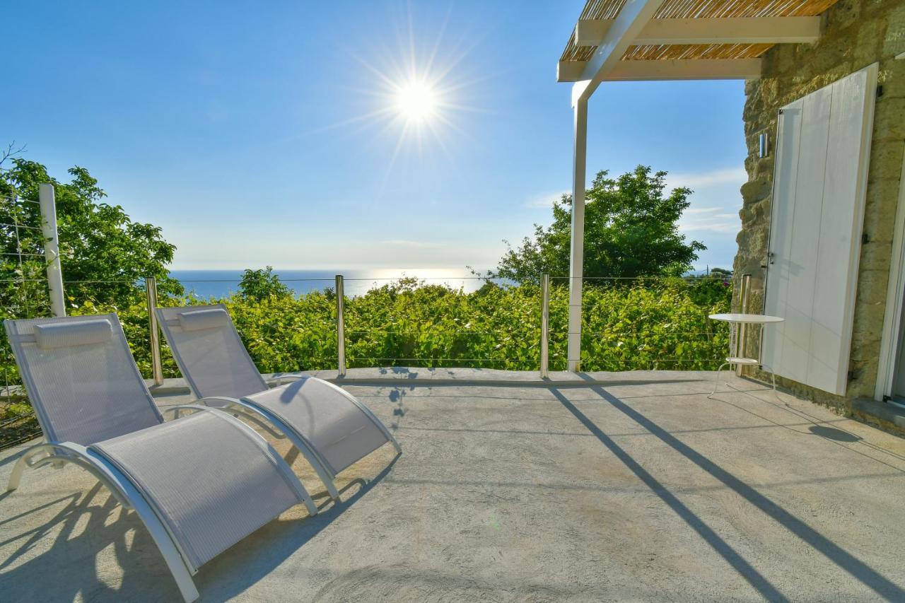 Tenuta C'Est La Vie Forio  Bagian luar foto
